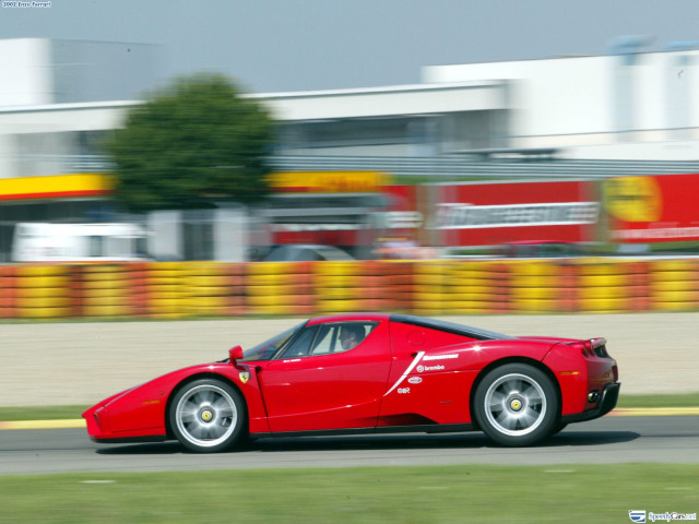 ferrari enzo pic #9782