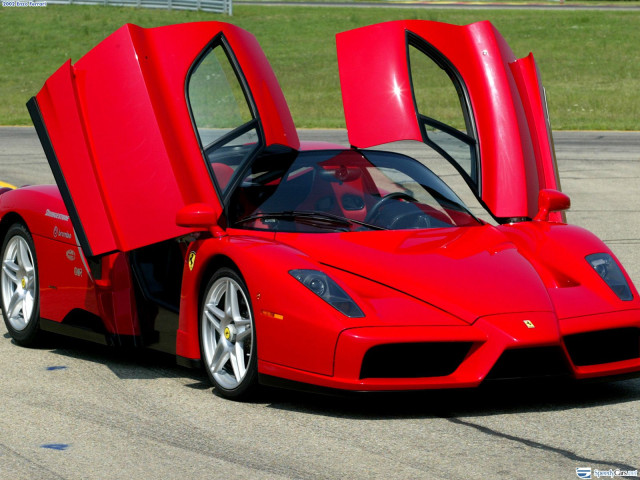 ferrari enzo pic #9783