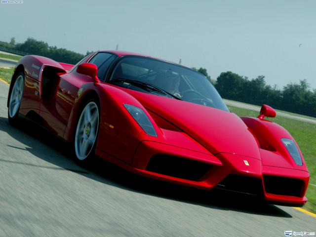 ferrari enzo pic #9784