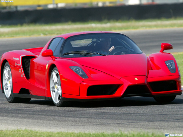 ferrari enzo pic #9785