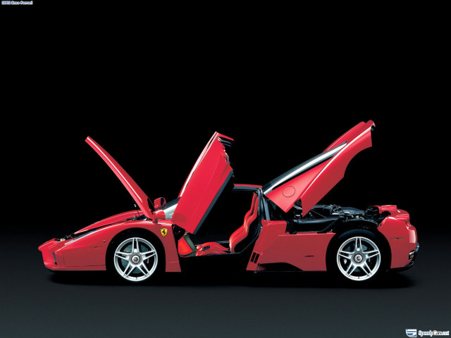 ferrari enzo pic #9787