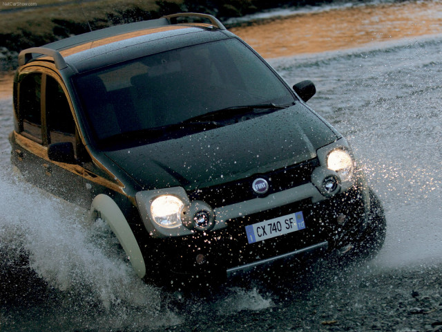 fiat panda cross pic #29945