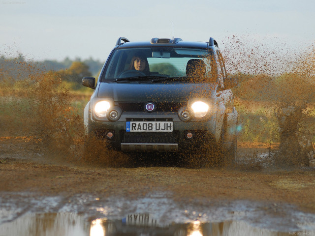 fiat panda cross pic #57330