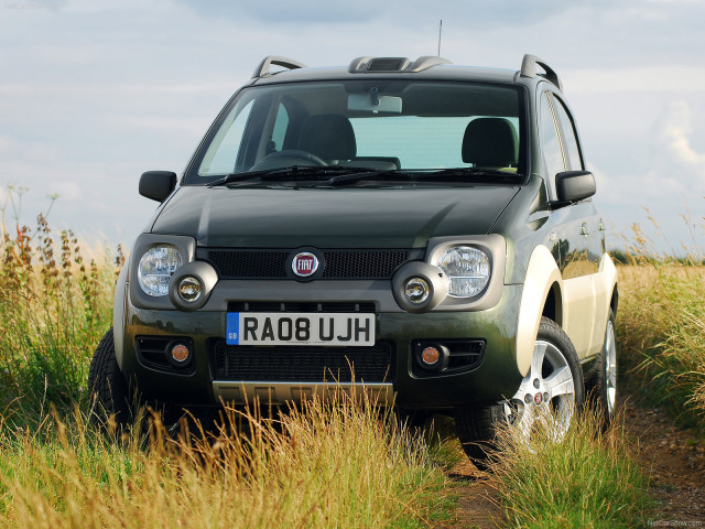 fiat panda cross pic #57340