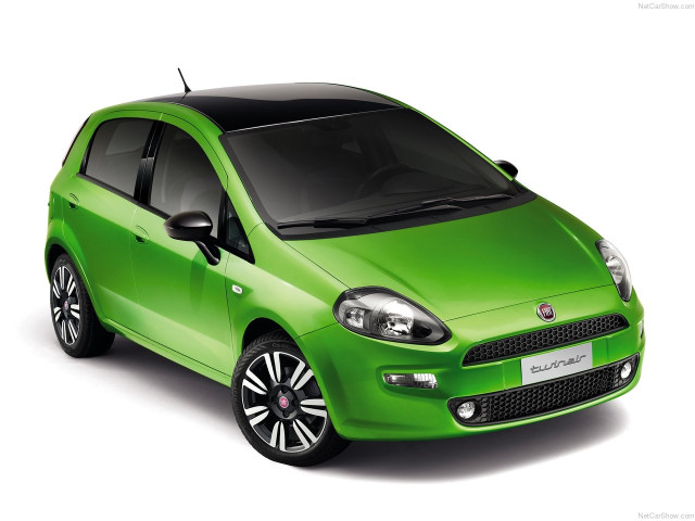 fiat punto pic #88833