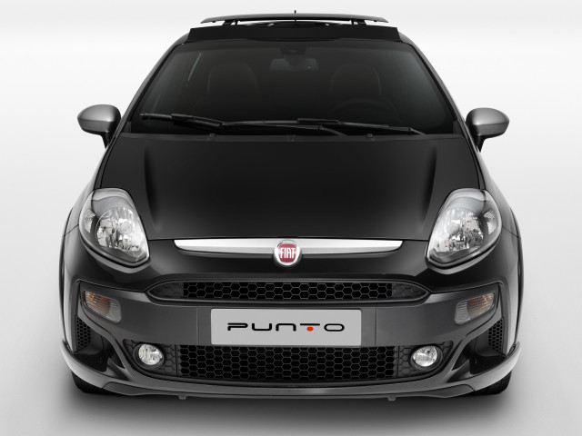 fiat punto t-jet br pic #93811