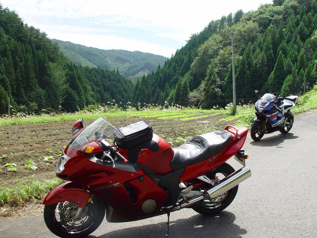 honda cbr 1100xx super blackbird pic #30365