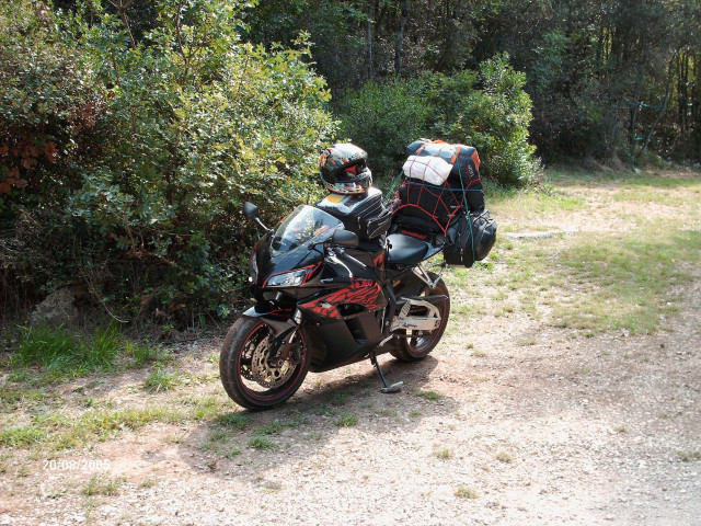 honda cbr-rr fireblade pic #31922