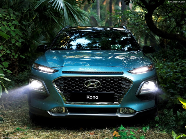 hyundai kona pic #178483