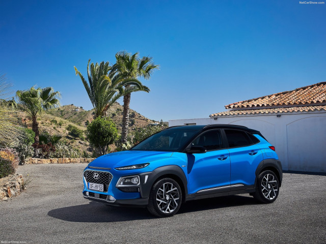 hyundai kona pic #195371