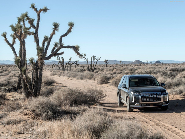 hyundai palisade pic #202155