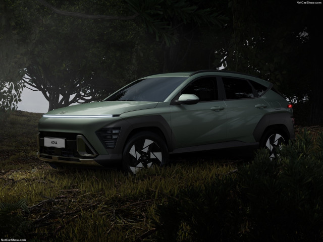 hyundai kona pic #203384