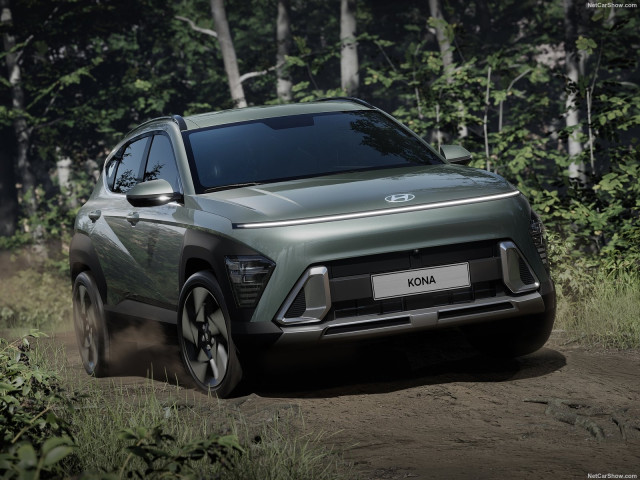 hyundai kona pic #203385