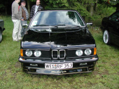 alpina photo #36220