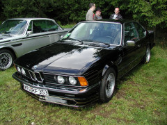 alpina photo #36221