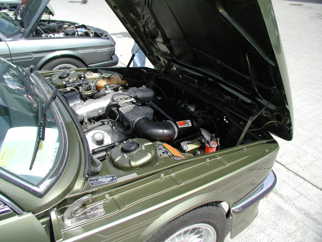alpina alpina pic #36230