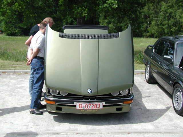 Alpina alpina photo 36233