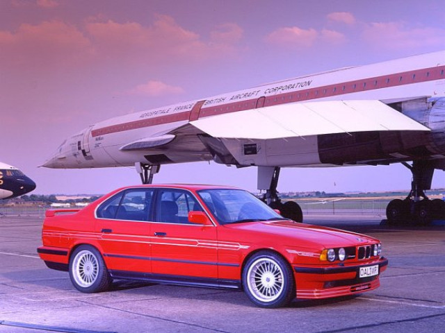 alpina alpina pic #36237