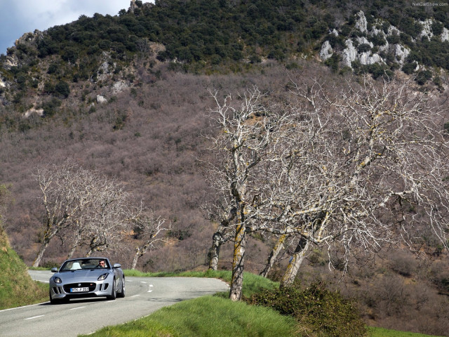 jaguar f-type v6 s pic #110394