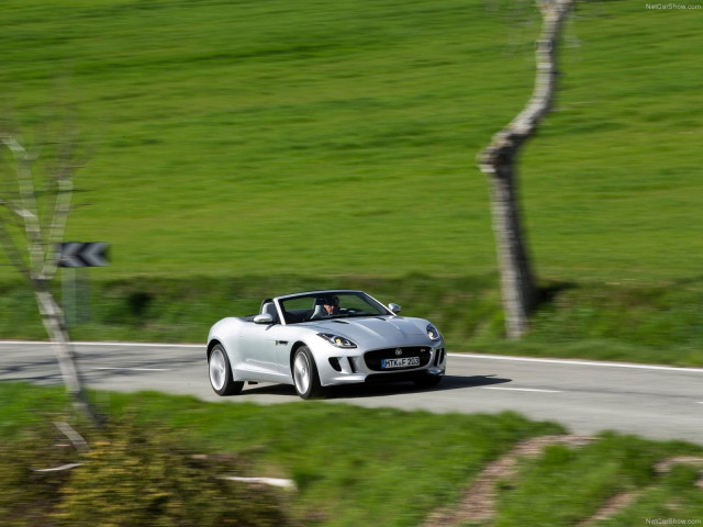 jaguar f-type v6 s pic #110401