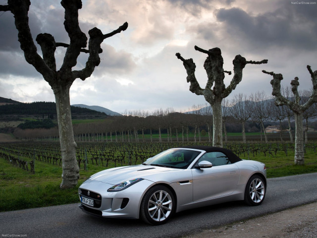 jaguar f-type v6 s pic #110422