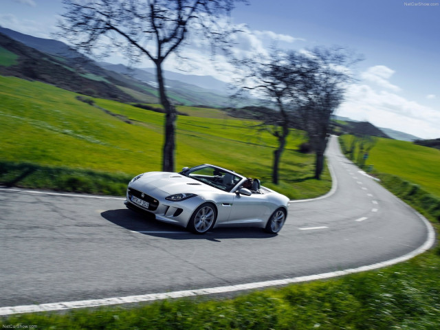 jaguar f-type v6 s pic #110423