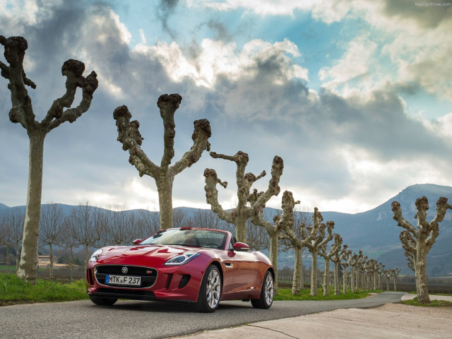 jaguar f-type v6 s pic #110425