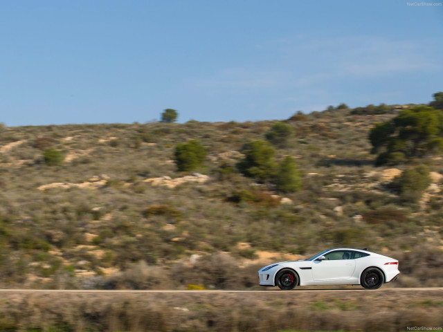 jaguar f-type coupe pic #116529