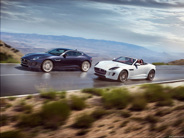 jaguar f-type pic #144225