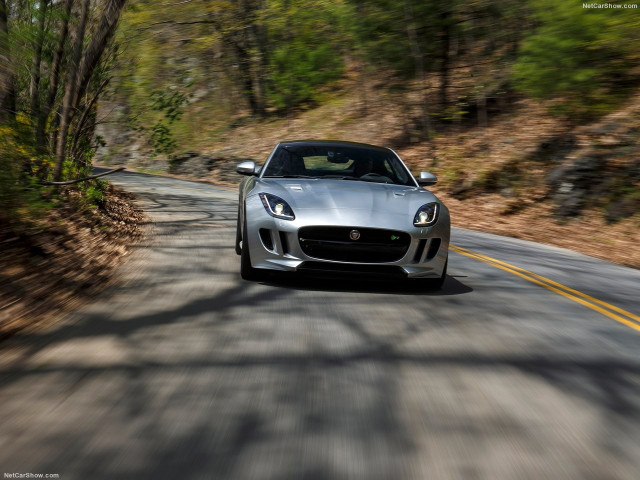 jaguar f-type pic #144233