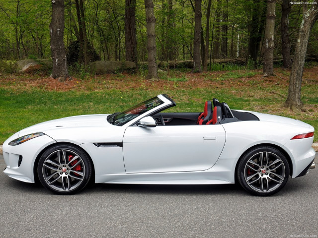 jaguar f-type pic #144272