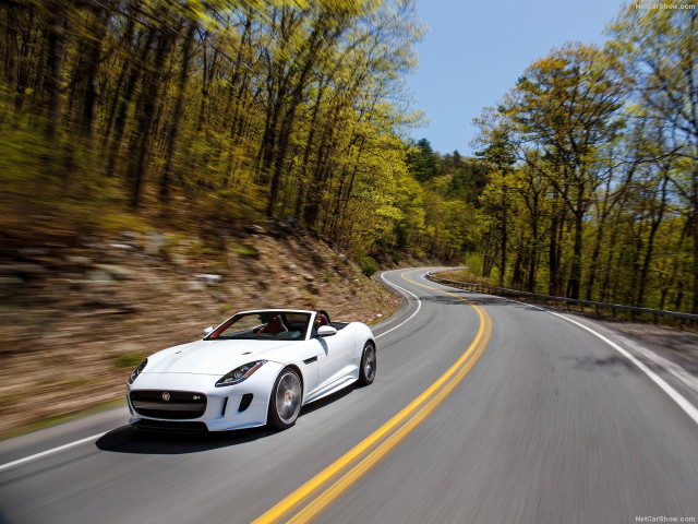 jaguar f-type pic #144278