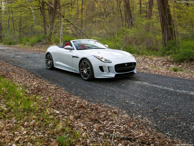 jaguar f-type pic #144300