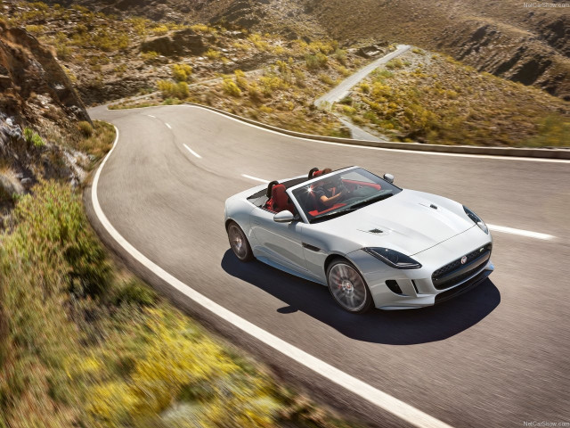 jaguar f-type pic #144314