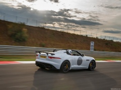 F-Type Project 7 photo #147520
