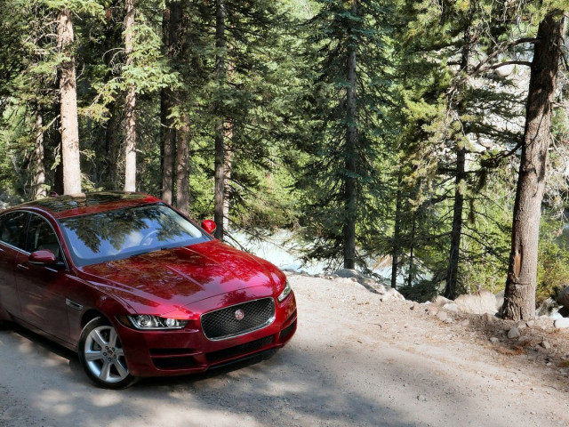 jaguar xe pic #165746