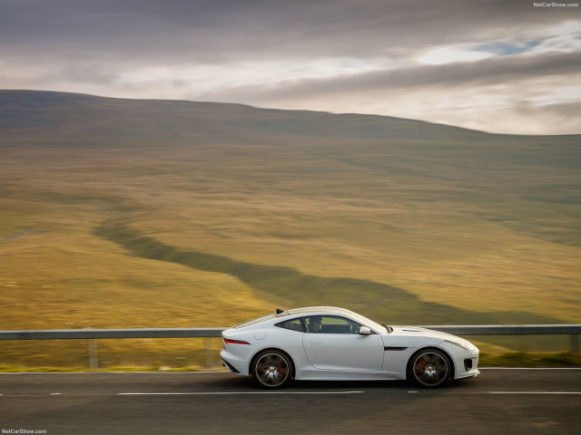 jaguar f-type pic #191505