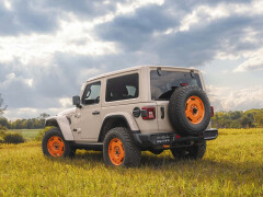 Wrangler photo #210286