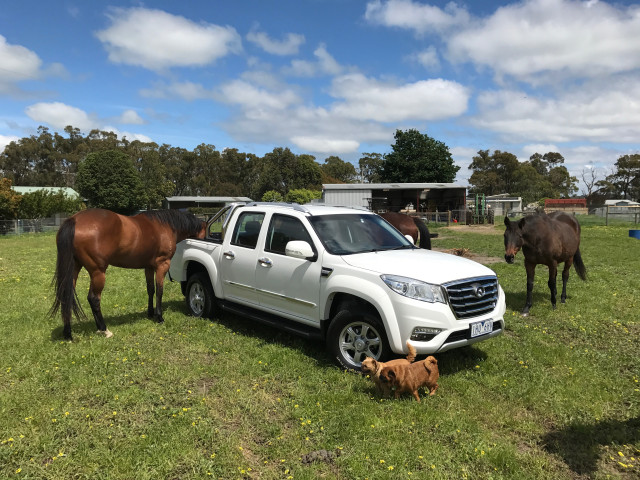 great wall steed pic #173368