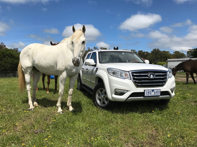 great wall steed pic #173373