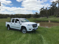 Great Wall Steed III
