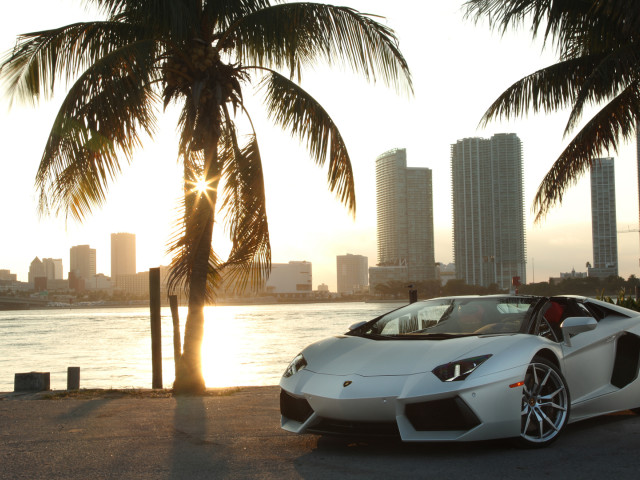 lamborghini aventador lp 700-4 roadster pic #109630