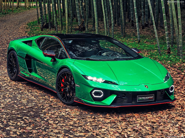 lamborghini temerario pic #206013