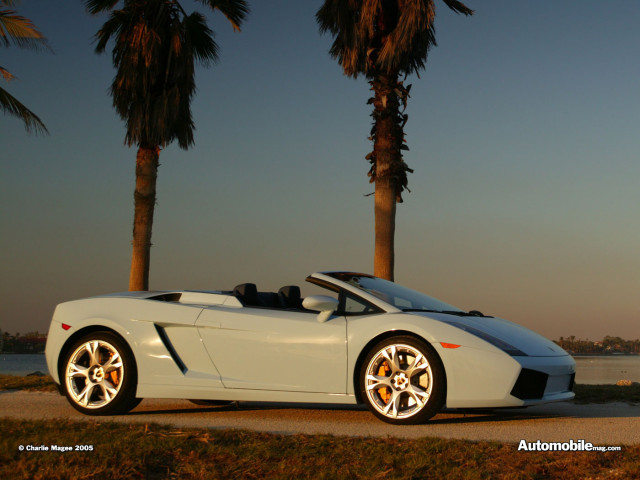 lamborghini gallardo spyder pic #32502