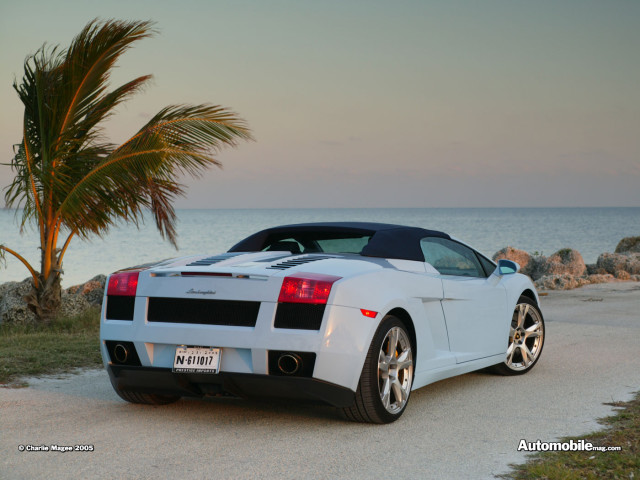 lamborghini gallardo spyder pic #32503