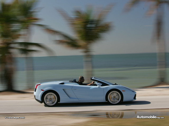 lamborghini gallardo spyder pic #32504