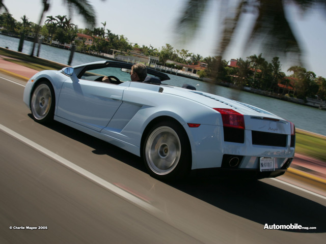 lamborghini gallardo spyder pic #32505