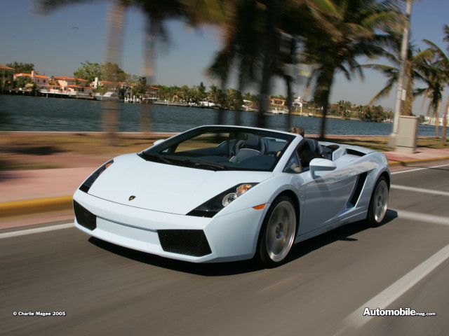 lamborghini gallardo spyder pic #32506