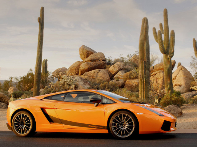 lamborghini gallardo superleggera pic #44501