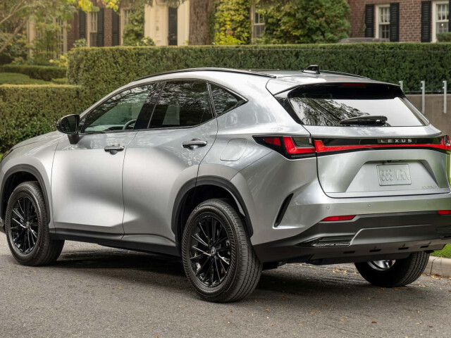 Lexus NX II (AA20) photo 211438